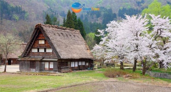 Ảnh Tour Nhật Bản : Nagoya - Kyoto - Shirakawago - Matsumoto - Núi Phú Sĩ - Tokyo (Thưởng Thức Thịt Bò Hida)