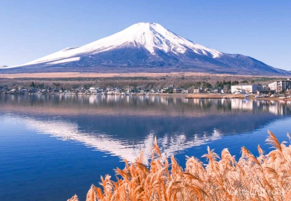 Ảnh Tour Nhật Bản : Narita - Kawaguchiko - Núi Phú Sĩ - Tokyo - Narita 5 ngày 4 đêm