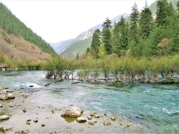 Ảnh Thành Đô- Cửu Trại Câu- Công viên gấu trúc - Trượt tuyết Gia Cô Sơn - 16