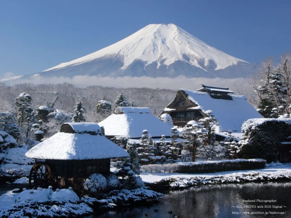 Ảnh Tour Nhật Bản: Osaka - Kyoto - Núi Phú Sĩ - Tokyo 5 ngày 4 đêm