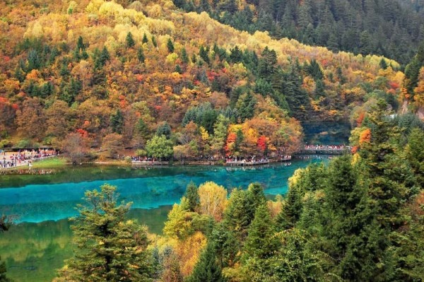 Ảnh Tour Trung Quốc: Thành Đô - Cửu Trại Câu thiên đường hạ giới - công viên Gấu Trúc - Lạc Sơn Đại Phật - 7