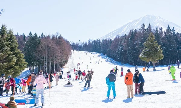 Ảnh Tour Nhật Bản : Tokyo - Núi Phú Sĩ - Công viên trượt tuyết Fujiten- Nagoya - Kyoto - Kobe - Osaka (4 đêm khách sạn, trải nghiệm shinkansen, thưởng thức bò Kobe, tham quan đại lộ Shibuya) | Tặng kem rắc vàng - 10