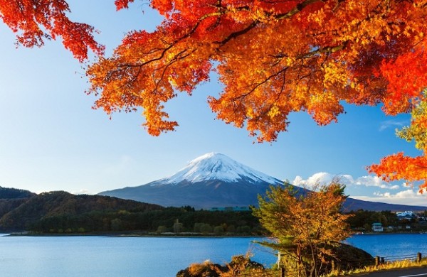 Ảnh Tour Nhật Bản : Narita - Kawaguchiko - Núi Phú Sĩ - Tokyo - Narita 5 ngày 4 đêm