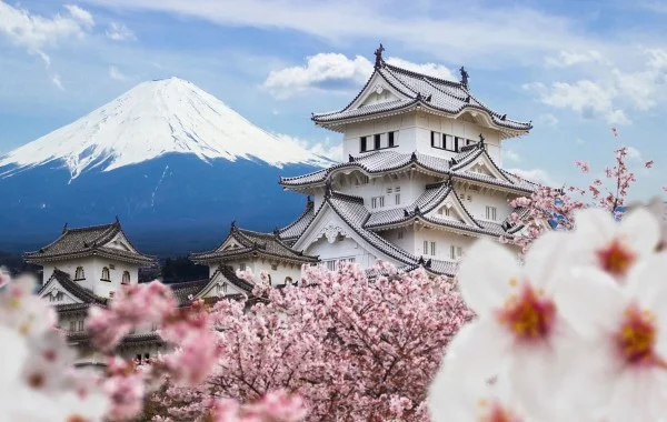 Ảnh Nhật Bản: Osaka – Kobe – Kyoto – Nagoya – Tokyo – Núi Phú Sĩ | Trải nghiệm shinkansen & xem biểu diễn Geisha | Trải nghiệm trà đạo và mặc Yukata dạo phố