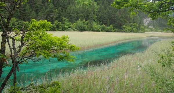 Ảnh Tour Trung Quốc: Thành Đô - Cửu Trại Câu thiên đường hạ giới - công viên Gấu Trúc - Lạc Sơn Đại Phật - 13