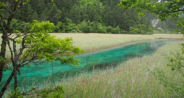 Ảnh Tour Trung Quốc: Thành Đô - Cửu Trại Câu thiên đường hạ giới - công viên Gấu Trúc - Lạc Sơn Đại Phật - 13