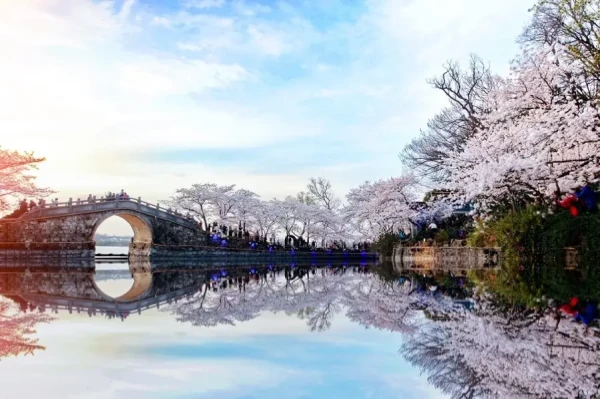 Tour Trung Quốc: Thượng Hải - Hàng Châu - Vô Tích - Bắc Kinh - Chinh phục Vạn Lý Trường Thành - Thập Tam Lăng 7 ngày 6 đêm