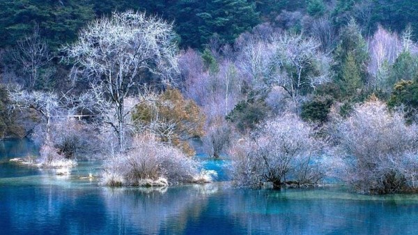 Ảnh Tour Trung Quốc: Thành Đô - Cửu Trại Câu thiên đường hạ giới - công viên Gấu Trúc - Lạc Sơn Đại Phật - 8