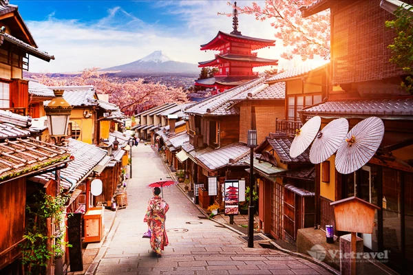 Ảnh Charter bay thẳng Nhật Bản: Nagoya - Làng cổ Shirakawa - Takayama - Kyoto - Rừng Tre Arashiyama - Kobe - Osaka - Nara (Tour Nhật Bản 5N4Đ) - 7