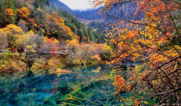 Ảnh Trung Quốc: Thành Đô – Nga Mi - Cửu Trại Câu - Đô Giang Yển - Công Viên Gấu Trúc – Lạc Sơn Đại Phật - Trải Nghiệm Suối Nước Nóng Thiên Nhiên - Cổ Trấn Hoàng Long Khê - 8