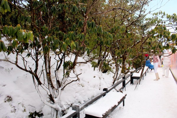 Ảnh Tour Trung Quốc:  Côn Minh - Chu Gia Hoa Viên - cơ hội trải nghiệm trượt tuyết tại Núi Kiệu Tử - Vương quốc tí hon - Kiến Thủy | Chương trình mới