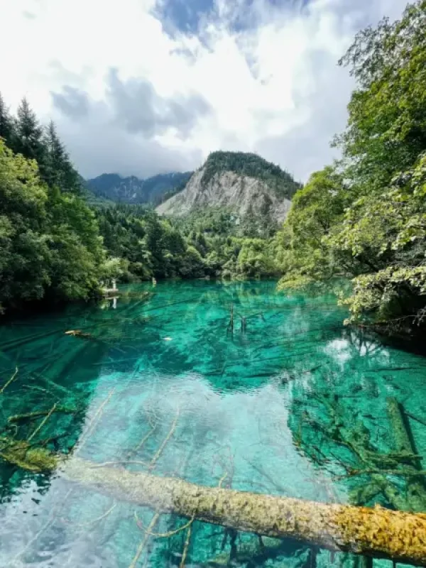 Ảnh Tour Trung Quốc : Thành Đô - Cửu Trại Câu - Công viên gấu trúc - Trượt tuyết Gia Cô Sơn - KS 5* tại Cửu Trại Câu - 17