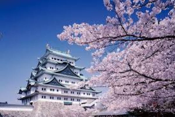 Ảnh Nhật Bản: Tokyo - Núi Phú Sĩ - Oshino Hakkai - Vịnh Odaiba - Công viên Hamamatsu - Nagoya - Kyoto - Osaka | Trải nghiệm shinkanen & thưởng thức bò Kobe | Ngắm hoa Anh Đào & hoa Tulip - 4