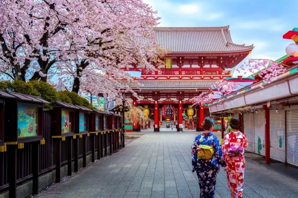 Ảnh Nhật Bản: Tokyo - Núi Phú Sĩ - Disneyland - Vịnh Odaiba - Kyoto - Kobe - Osaka (Khách sạn 4 sao) | Thưởng thức bò Kobe & trải nghiệm shinkansen - 9