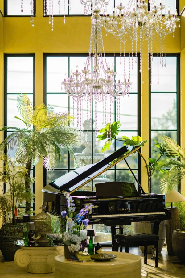 Ảnh Viva ĐL92 -  Hồ Bơi riêng + Bida, Karaoke, Sauna - 11