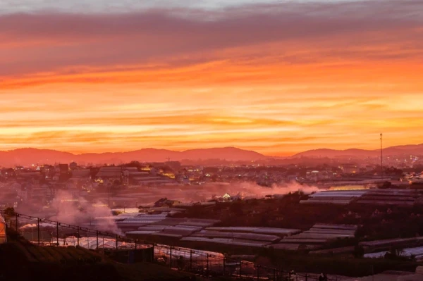 Ảnh Viva ĐL92 -  Hồ Bơi riêng + Bida, Karaoke, Sauna - 6