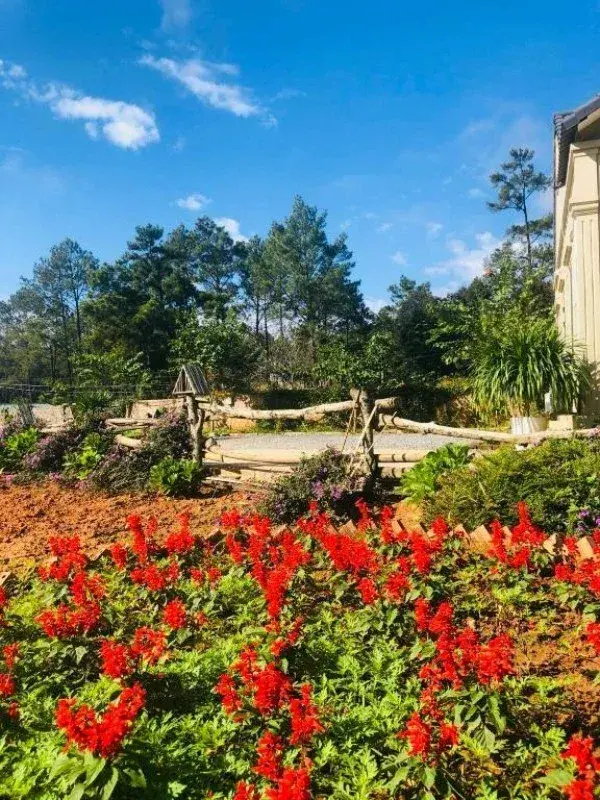 Ảnh Viva Homestay MC 11