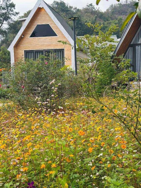 Ảnh Viva Homestay MC 11