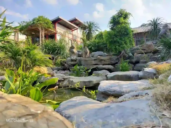 Ảnh Viva MC 21 - 11