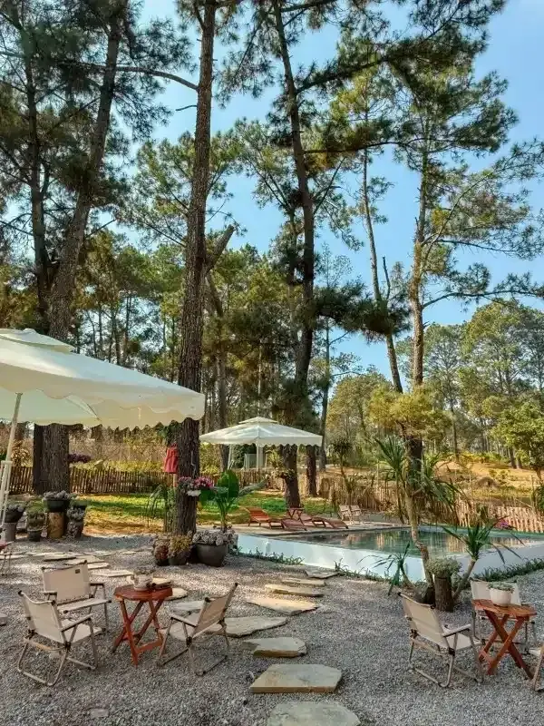 Ảnh Viva MC Healing - 3