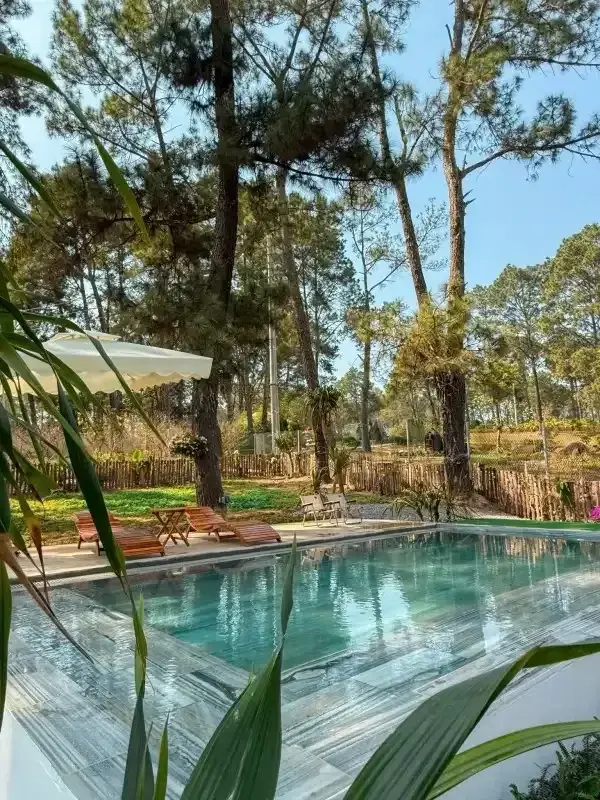 Ảnh Viva MC Healing - 6