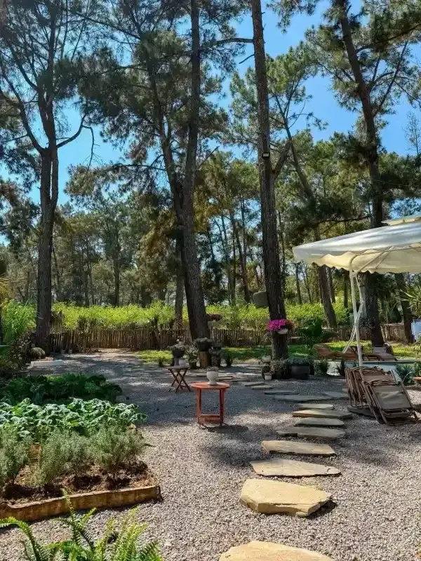 Ảnh Viva MC Healing - 8