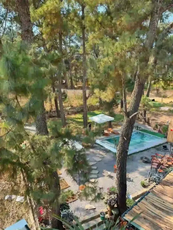 Ảnh Viva MC Healing - 9