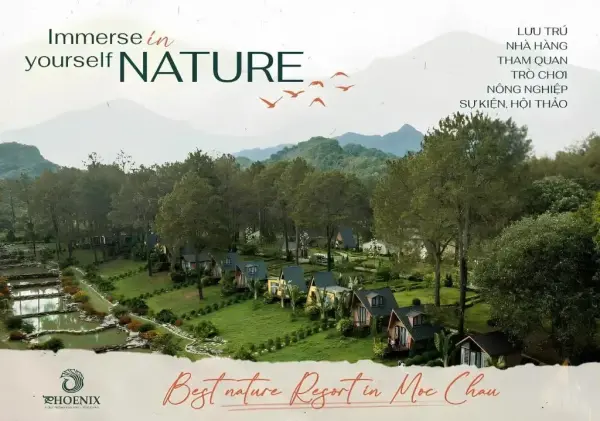 Ảnh Viva MCPhoenix - 1