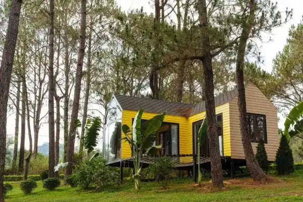 Ảnh Viva MCPhoenix - 13