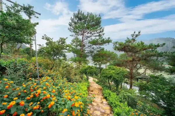 Ảnh Viva SRetreat - View Hồ Đồng Đò