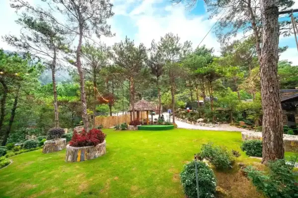 Ảnh Viva SRetreat - View Hồ Đồng Đò