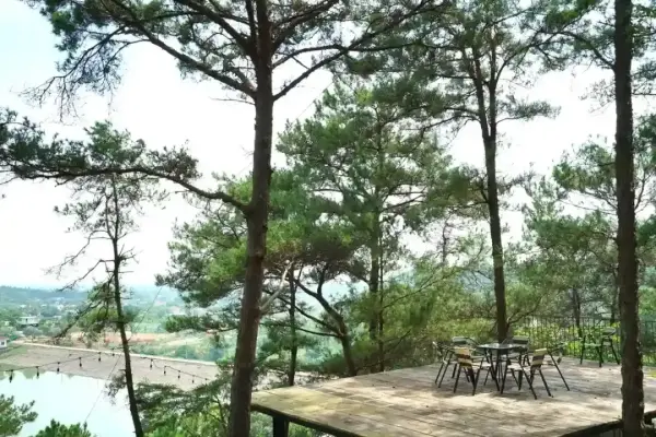 Ảnh Viva SRetreat - View Hồ Đồng Đò - 19