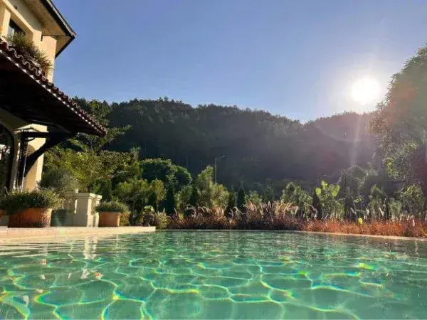 Ảnh Viva TĐ19 - 12