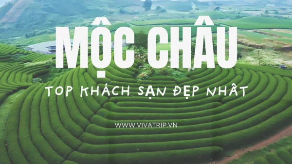 Top 9 khách sạn giá rẻ tốt nhất tại Mộc Châu