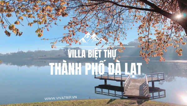 Tận Hưởng Kỳ Nghỉ Tại Các Villa Đà Lạt: Trải Nghiệm Độc Đáo Giữa Lòng Cao Nguyên