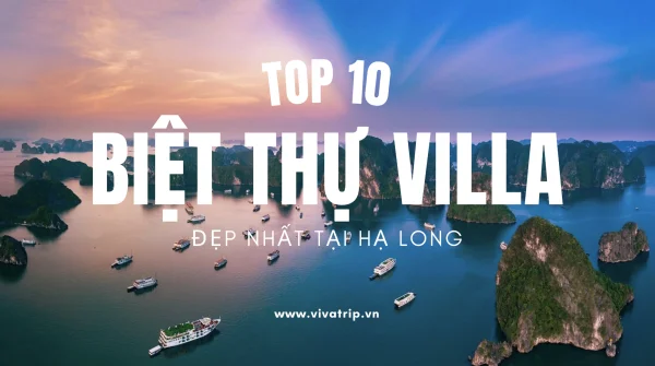 10+ Biệt Thự Villa Hạ Long Đáng Trải Nghiệm Nhất