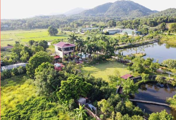 Ảnh Viva S17 - Sân PickleBall - 10