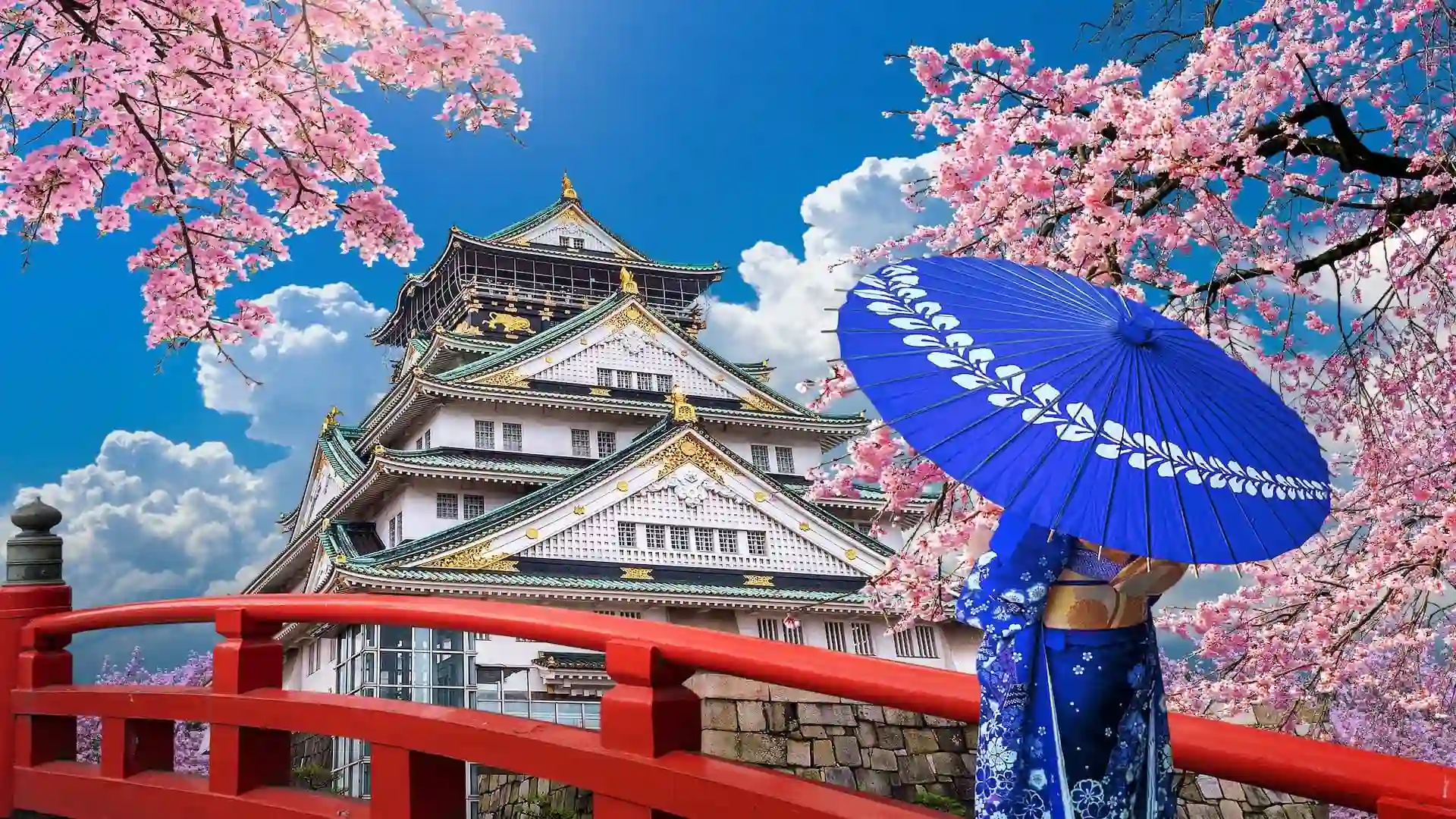 Ảnh Tour Nhật Bản: Osaka - Wakayama - Kyoto - Nagoya - Tokyo - Núi Phú Sĩ (Trải nghiệm mặc Yukata dạo phố Gion)
