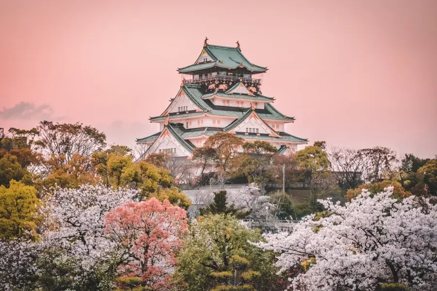 Ảnh Nhật Bản: Vinh - Hà Nội - Osaka- Kyoto- Kobe- Núi Phú Sĩ- Tokyo- Vịnh Odaiba - Thưởng thức thịt bò Kobe/ Mùa hoa anh đào