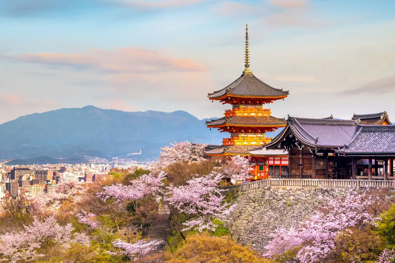 Ảnh Charter Hoa Anh đào: Takamatsu – Kurashiki – Himeji – Kobe – Kyoto – Osaka – Awaji – Takamatsu – Thưởng thức bò Kobe - 1 ngày tự do tại Kobe