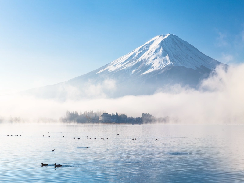 Ảnh Nhật Bản: Osaka – Kobe – Kyoto – Nagoya – Tokyo – Núi Phú Sĩ | Trải nghiệm shinkansen & xem biểu diễn Geisha | Trải nghiệm trà đạo và mặc Yukata dạo phố