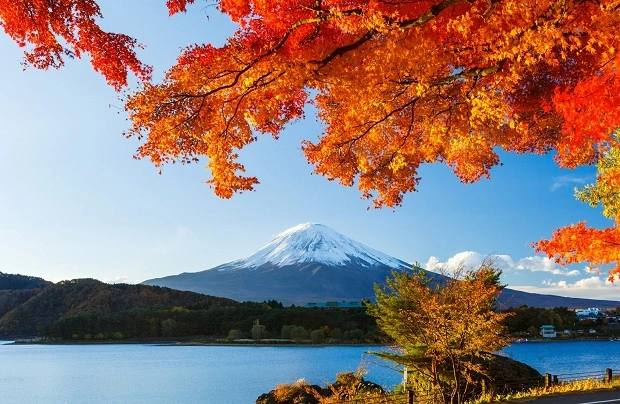 Ảnh Tour Nhật Bản : Narita - Kawaguchiko - Núi Phú Sĩ - Tokyo - Narita 5 ngày 4 đêm