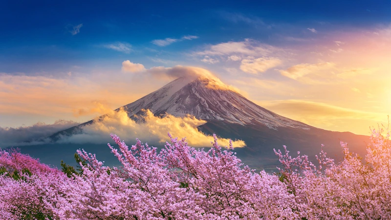 Ảnh Nhật Bản: Osaka - Kobe - Kyoto - Nagoya - Núi Phú Sĩ - Công viên trượt tuyết Fujiten - Làng cổ Oshino Hakkai - Tokyo | Thưởng thức bò Kobe & Trải nghiệm mặc Yukata dạo phố cổ Gion | Tặng kem rắc vàng