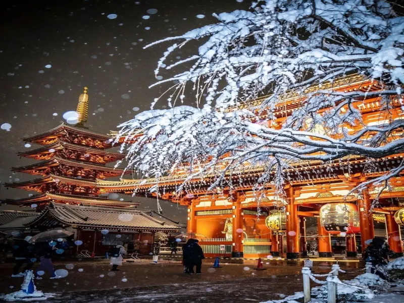 Ảnh Tour Nhật Bản : Narita - Kawaguchiko - Núi Phú Sĩ - Tokyo - Narita 5 ngày 4 đêm