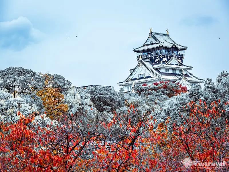 Ảnh Charter bay thẳng Nhật Bản: Nagoya - Làng cổ Shirakawa - Takayama - Kyoto - Rừng Tre Arashiyama - Kobe - Osaka - Nara (Tour Nhật Bản 5N4Đ)